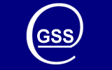 GSS Gemini Software Solutions ERP/PPS-Software